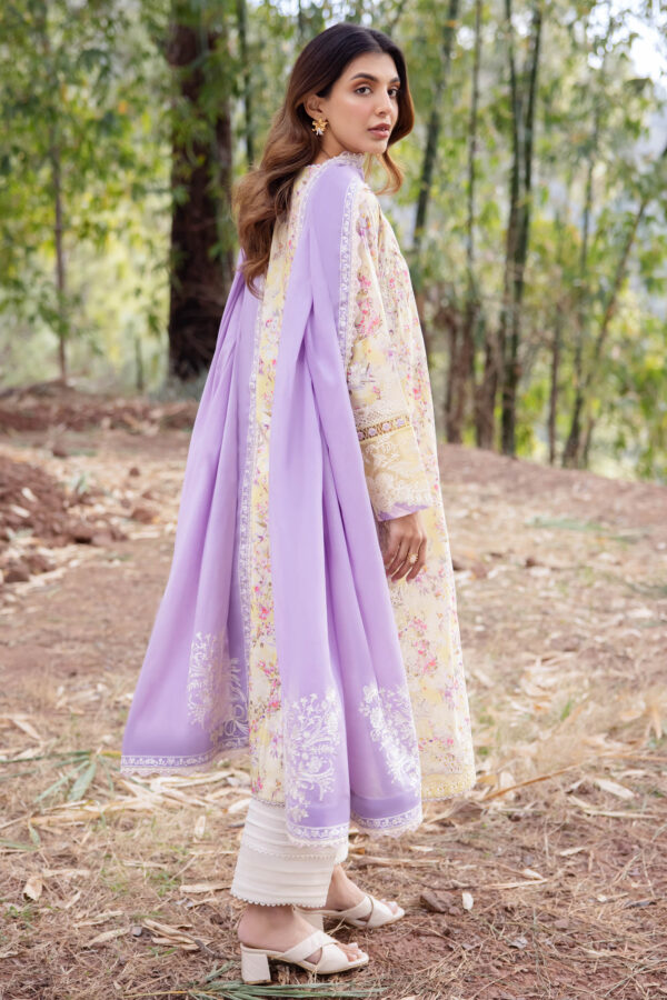 Imrozia I 194 Nafay Naina Chiffon Collection 24