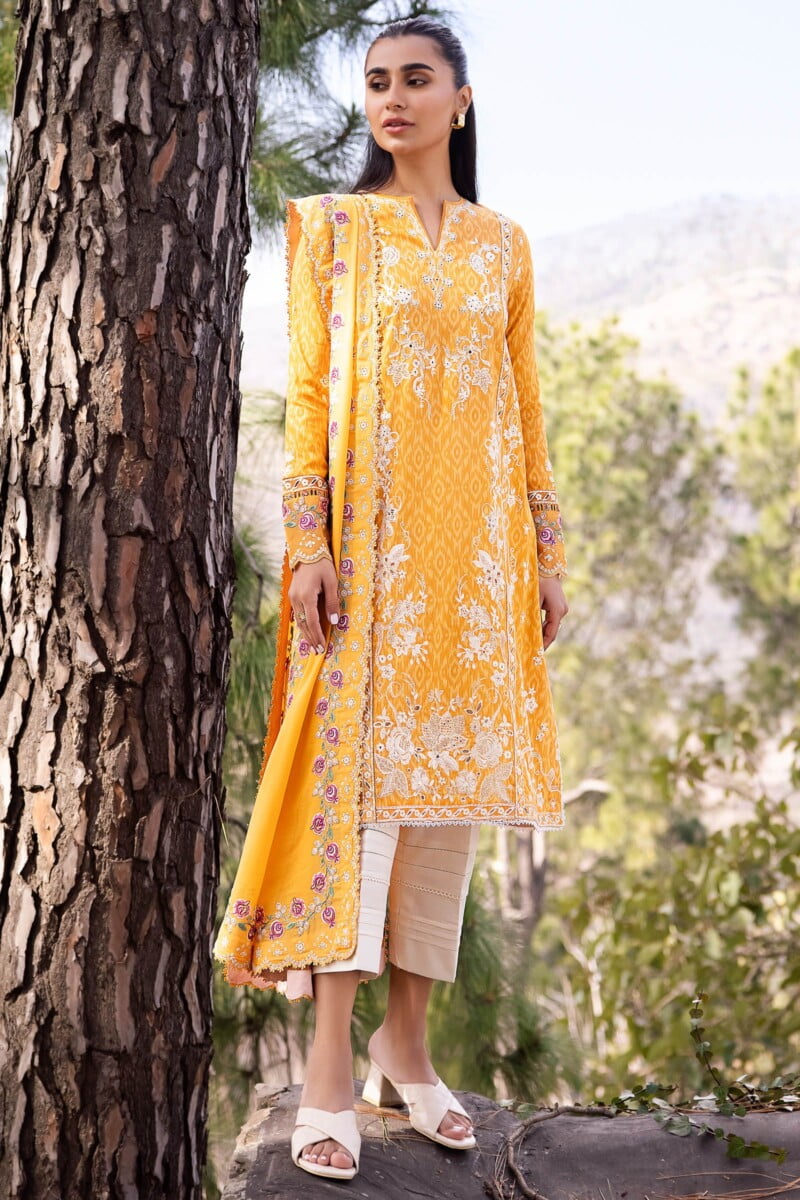 Imrozia I 198 Beena Naina Chiffon Collection 24