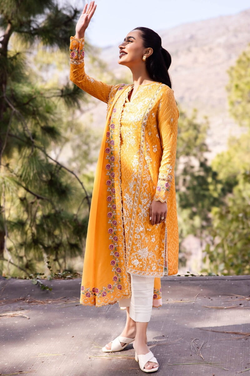 Imrozia I 198 Beena Naina Chiffon Collection 24