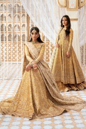 Alizeh Reena Handcrafted Ah 02 Aylin Formal Collection