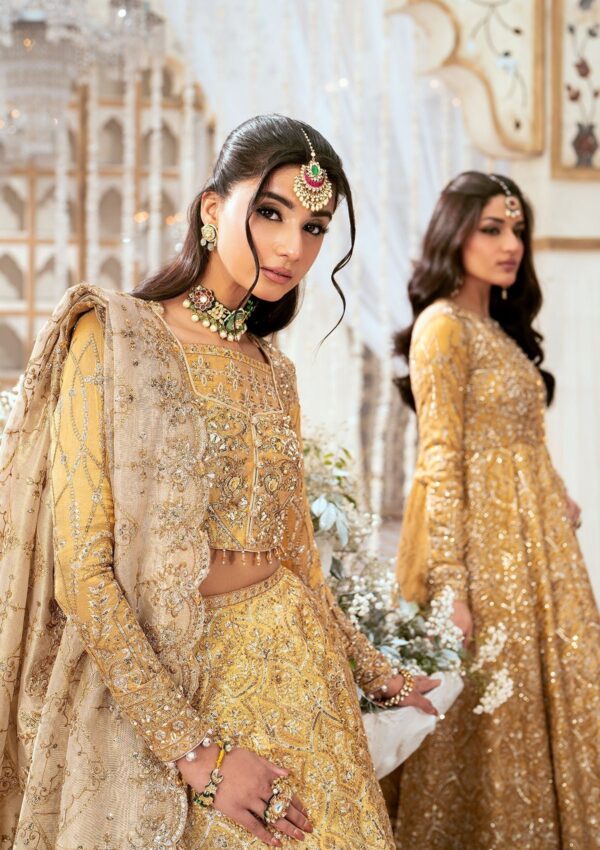 Alizeh Reena Handcrafted Ah 02 Aylin Formal Collection