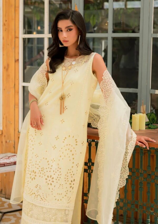 Mahnur Bella Lawn 24 Mb 09 Lawn Collection 24