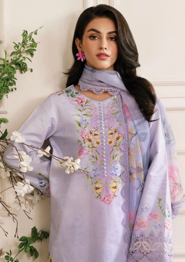 Rang Rasiya Rl24 2 Ayra Lifestyle Lawn Collection