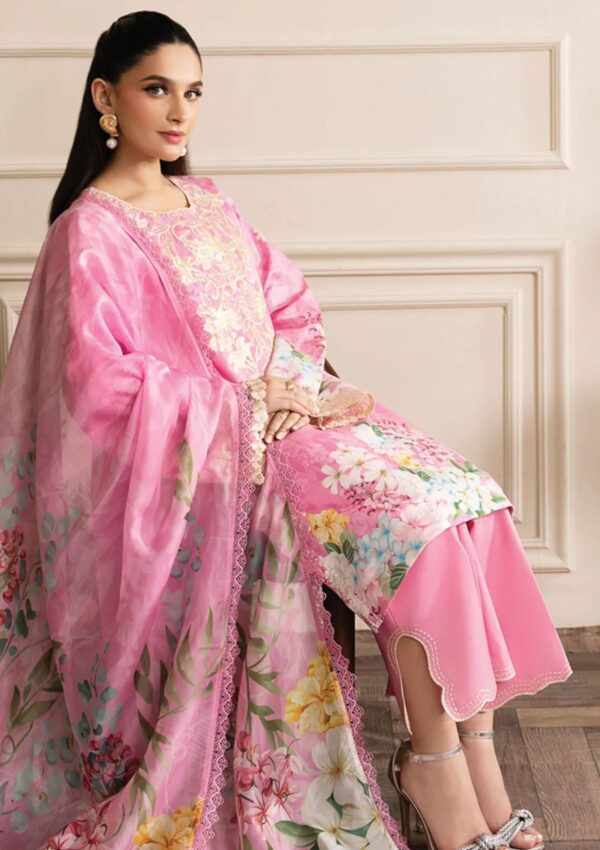 Rang Rasiya Rl24 12 Ekin Lifestyle Lawn Collection