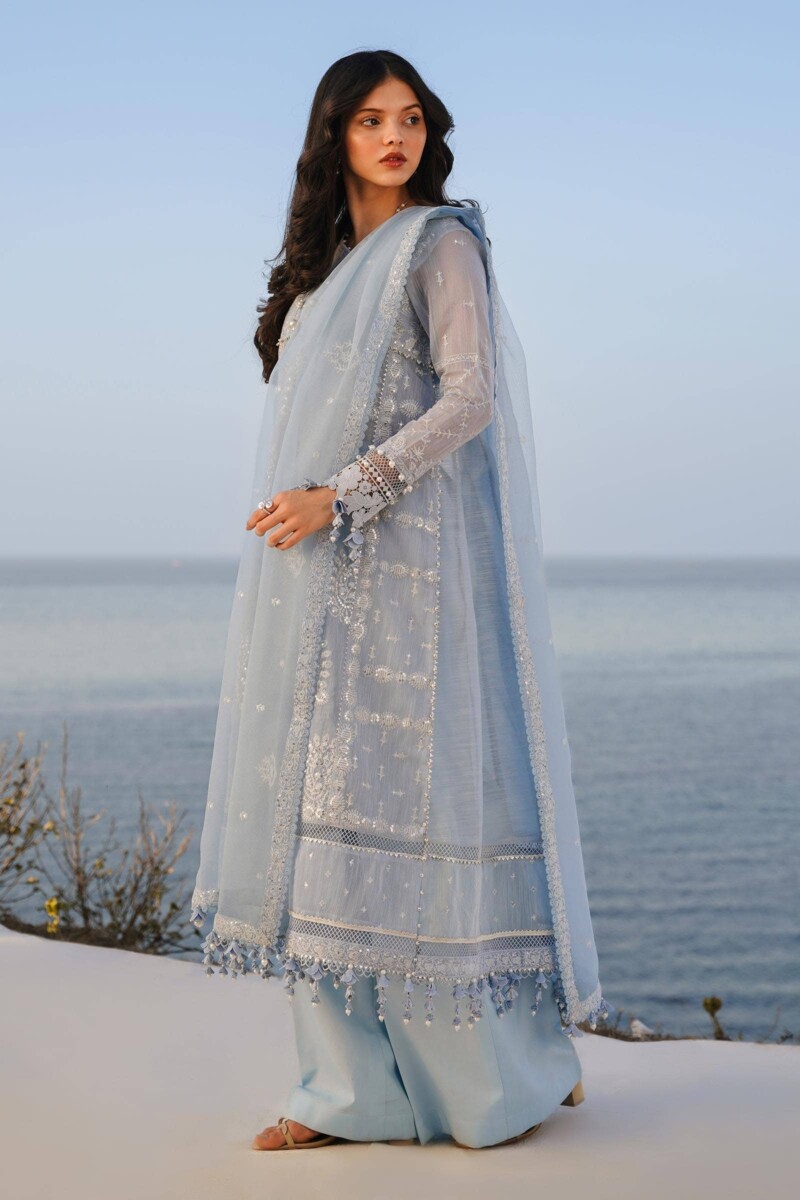 Sana Safinaz M241-014b-3cx Embroidered Net