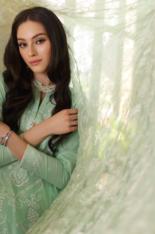 Gul Ahmed Pm-42022 Premium Embroidered Lawn Collection 2024