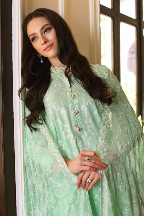 Gul Ahmed Pm-42022 Premium Embroidered Lawn Collection 2024