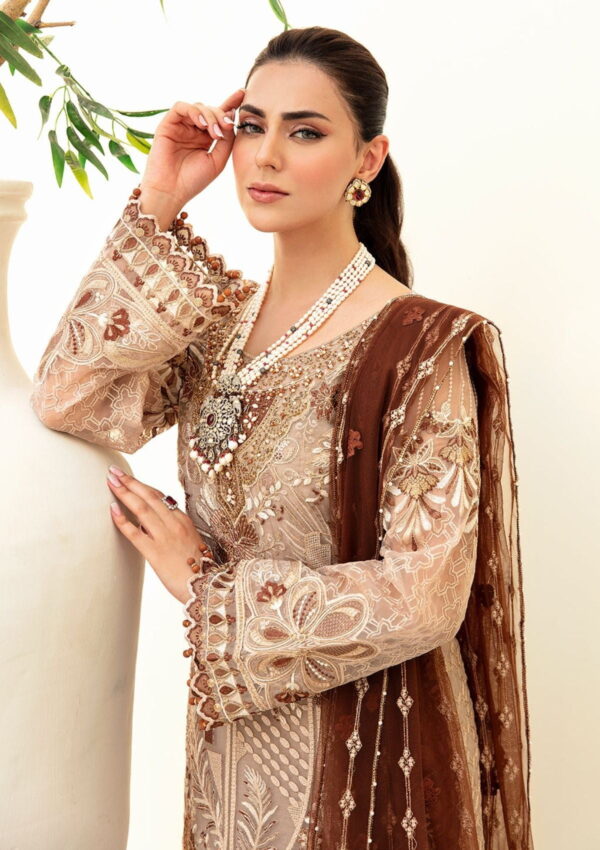 Ramsha Minhal M 905 Formal Collection