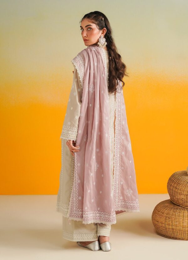 Image Azadeh Mulmulkari Collection 2024