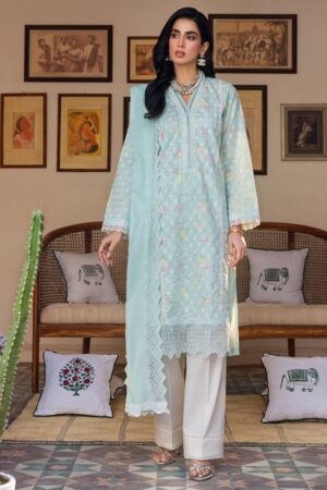 Raj Bari Rbe24 13 Essentials Lawn Collection 24