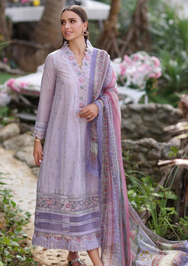 Noor By Saadia Asad Nsl24 3 A Luxe Printkari Lawn Collection