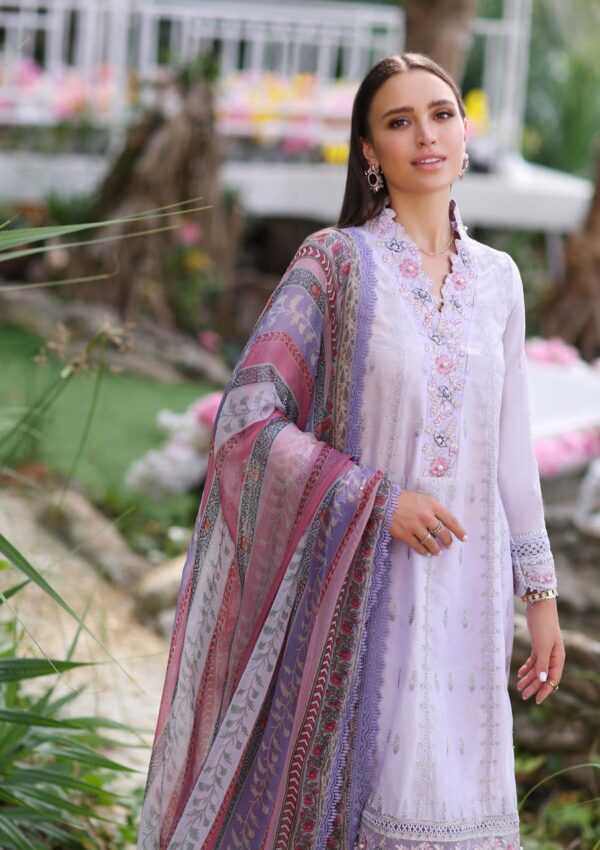 Noor By Saadia Asad Nsl24 3 A Luxe Printkari Lawn Collection