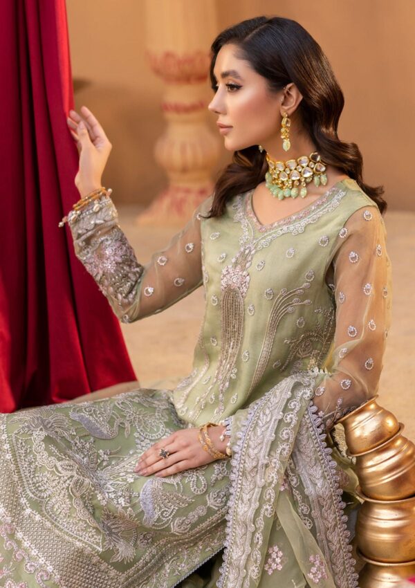 Neeshay Rang E Bahar Dastgah Formal Collection