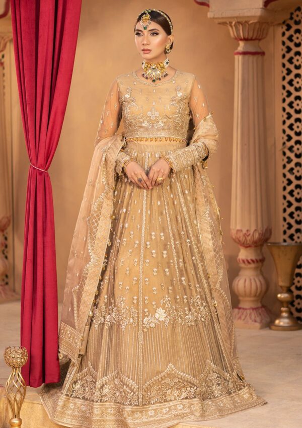 Neeshay Noor Dastgah Formal Collection