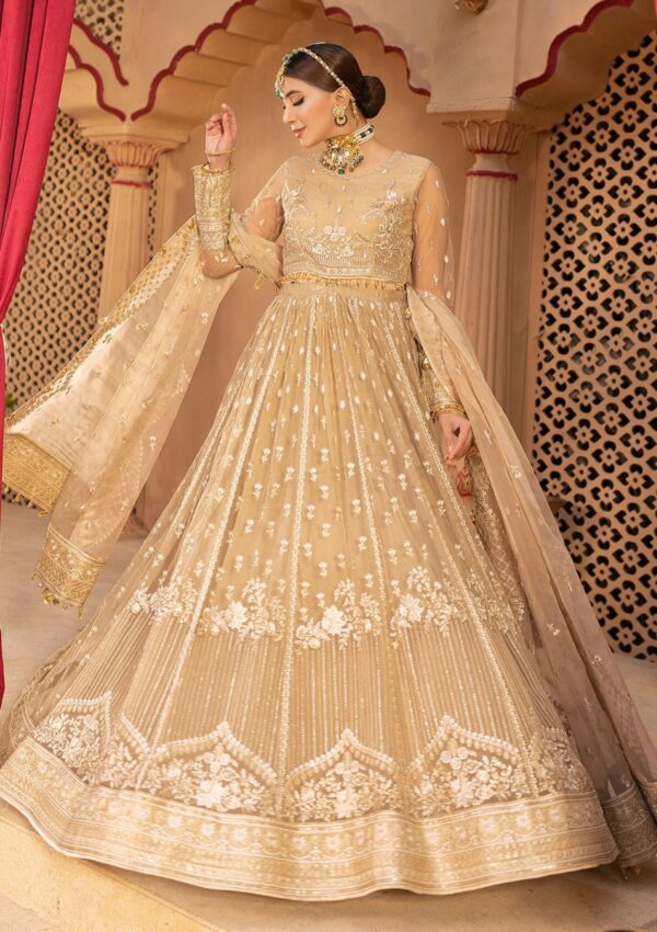 Neeshay Noor Dastgah Formal Collection