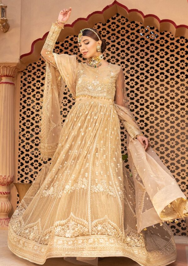 Neeshay Noor Dastgah Formal Collection