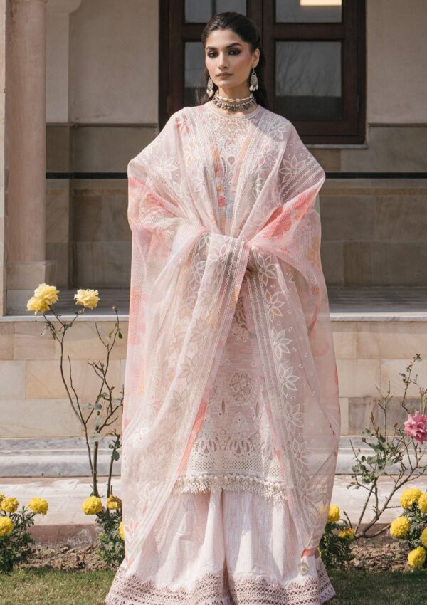 Jazmin Sll24 08 Shahkaar Lawn Collection 24