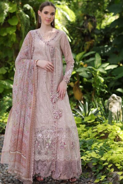 Noor By Saadia Asad Nsc24 3 A Luxe Chikankari Lawn Collection