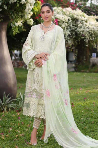 Noor By Saadia Asad Nsc24 11 B Luxe Chikankari Lawn Collection