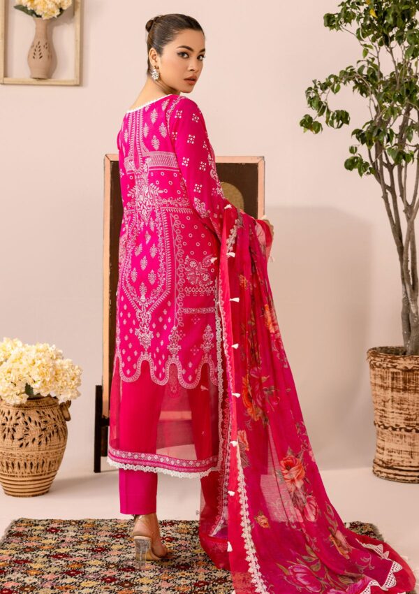 Rubaaiyat Rel24 05 Embroidered Lawn Collection