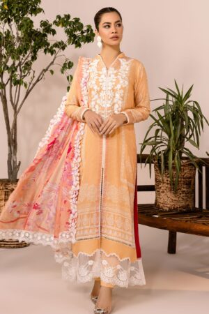 Rubaaiyat Rel24 10 Embroidered Lawn Collection