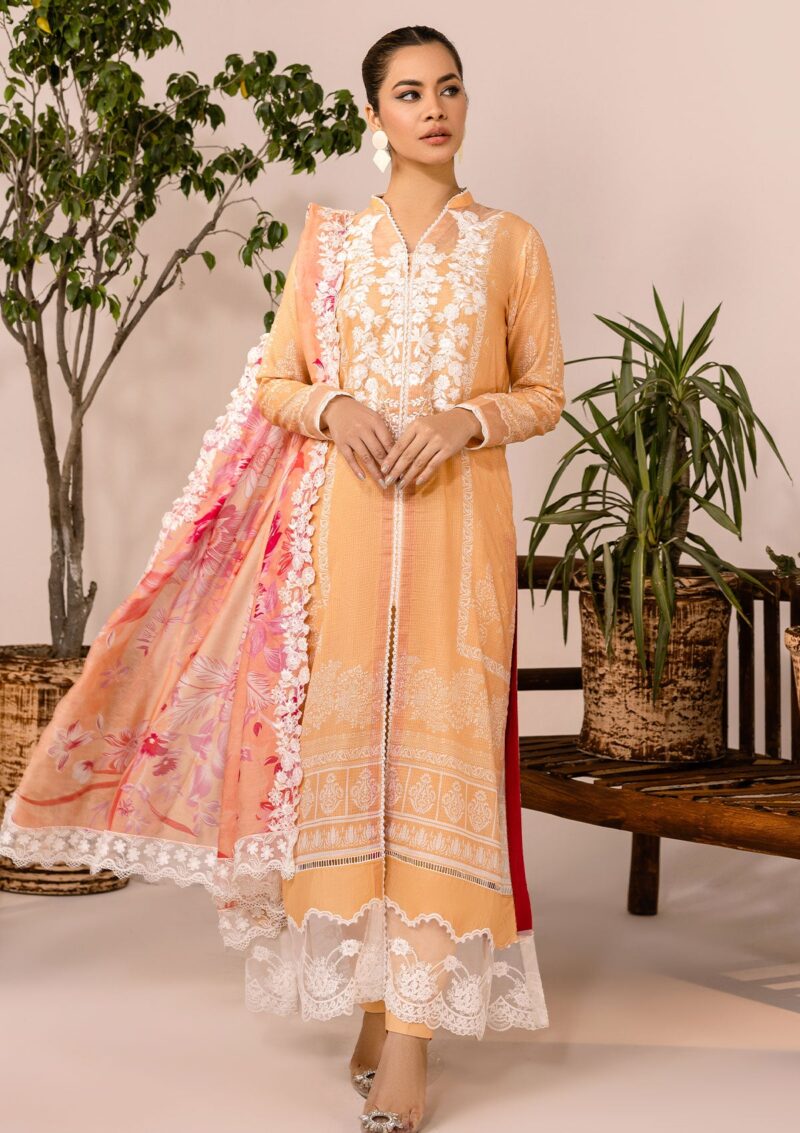 Rubaaiyat Rel24 10 Embroidered Lawn Collection