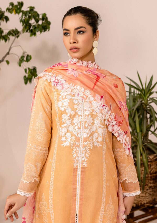 Rubaaiyat Rel24 10 Embroidered Lawn Collection