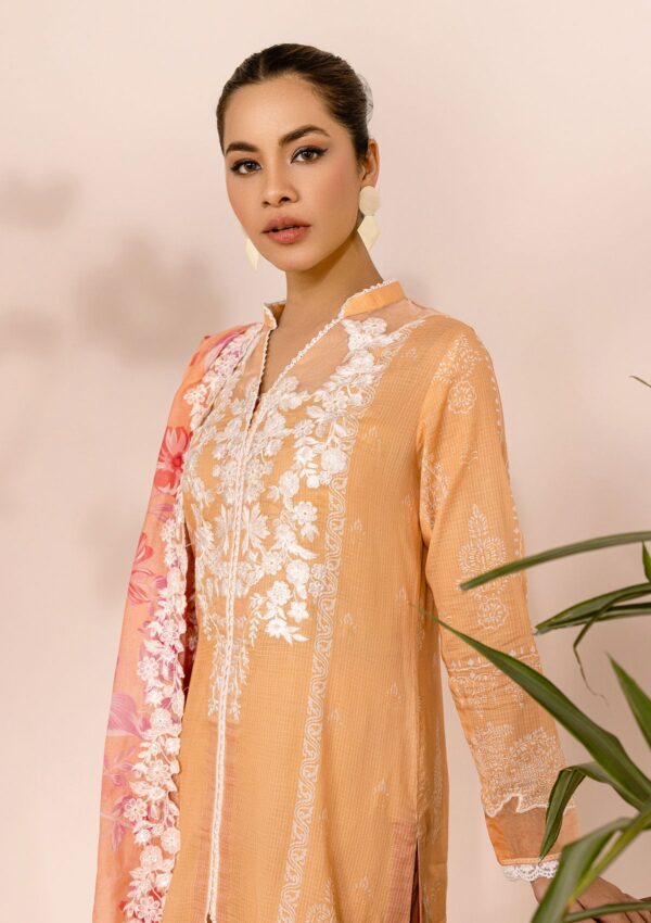 Rubaaiyat Rel24 10 Embroidered Lawn Collection