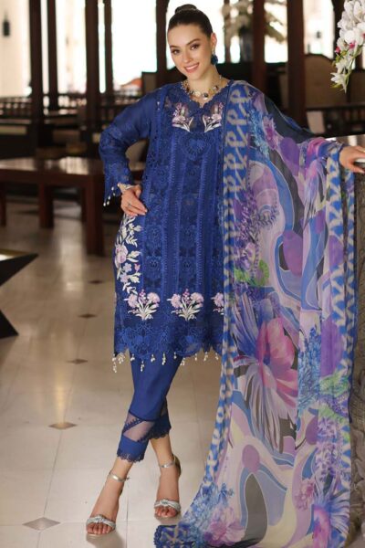 Noor By Saadia Asad Nsc24 10 B Luxe Chikankari Lawn Collection