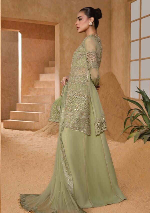 Rang Rasiya D 10 Mehr Chatoyer Wedding Formals Formal Collection