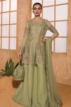 Rang Rasiya D 10 Mehr Chatoyer Wedding Formal Collection 24