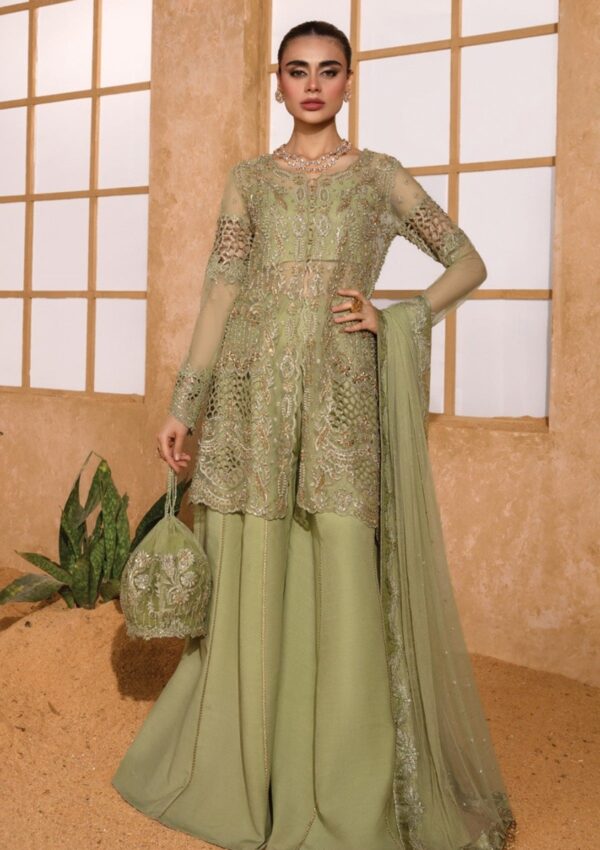 Rang Rasiya D 10 Mehr Chatoyer Wedding Formals Formal Collection