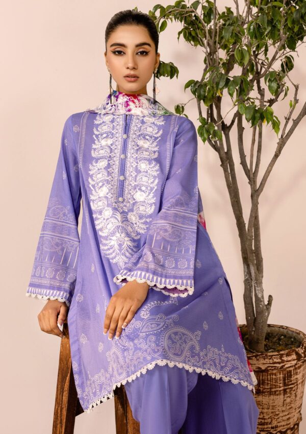 Rubaaiyat Rel24 02 Embroidered Lawn Collection