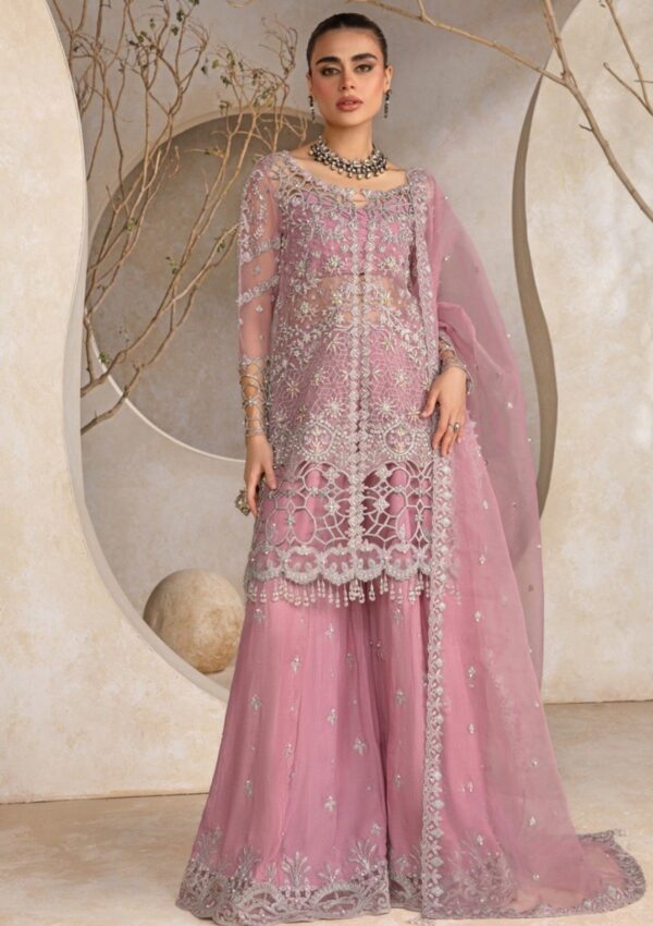 Rang Rasiya D 09 Natasha Chatoyer Wedding Formals Formal Collection