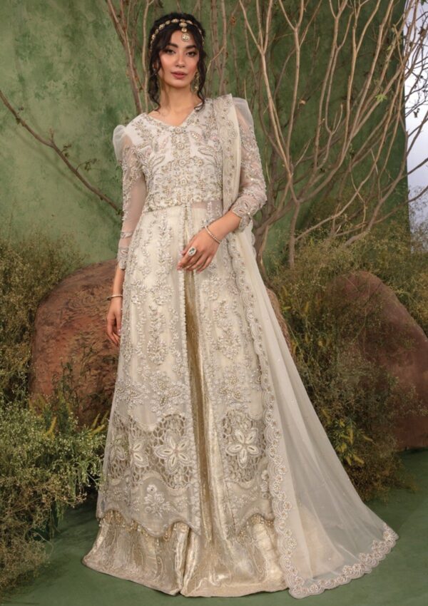 Rang Rasiya D 07 Noor Chatoyer Wedding Formals Formal Collection