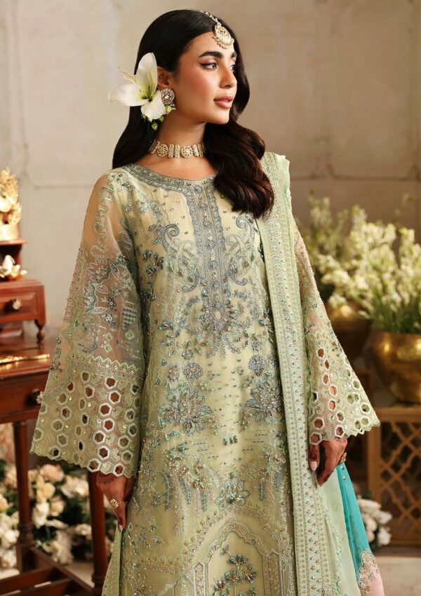 Nureh Nj24 67 Mahi Roo Jhoomro Formal Collection