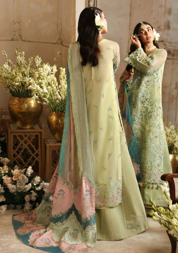 Nureh Nj24 67 Mahi Roo Jhoomro Formal Collection