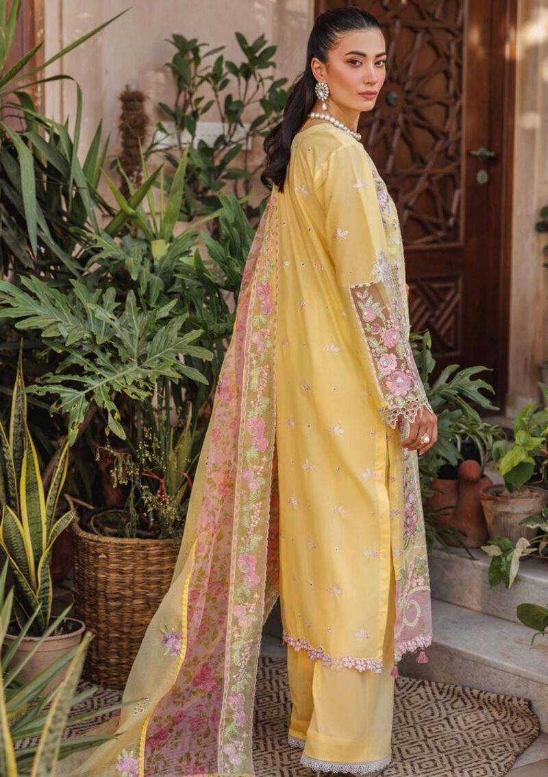 Raj Bari Rf 02 A Amali Festive Lawn Collection