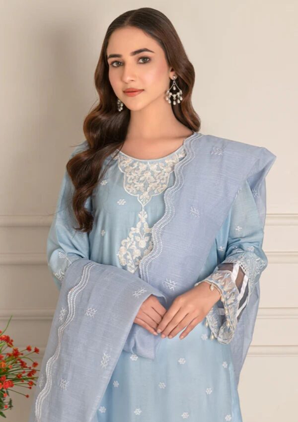 Noor Jahan Rn 9 S Blue Rang E Lawn Collection