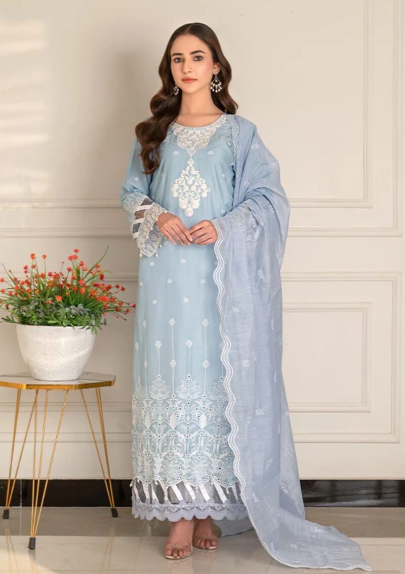 Noor Jahan Rn 9 S Blue Rang E Lawn Collection