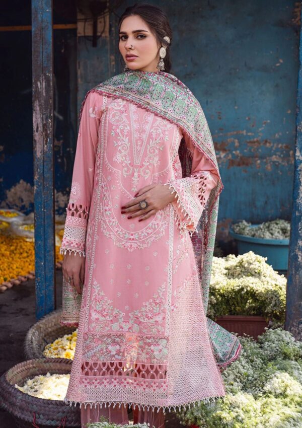 Sahane Ct 10004 Mohini Sahakari Chikankari Lawn Collection