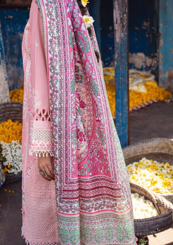 Sahane Ct 10004 Mohini Sahakari Chikankari Lawn Collection