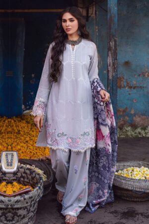 Sahane Ct 10007 Dastaan Sahakari Chikankari Lawn Collection