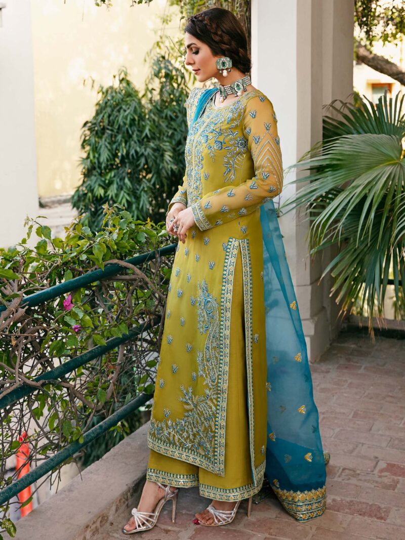 Akbar Aslam Davina Layali Formals Embroidered Organza