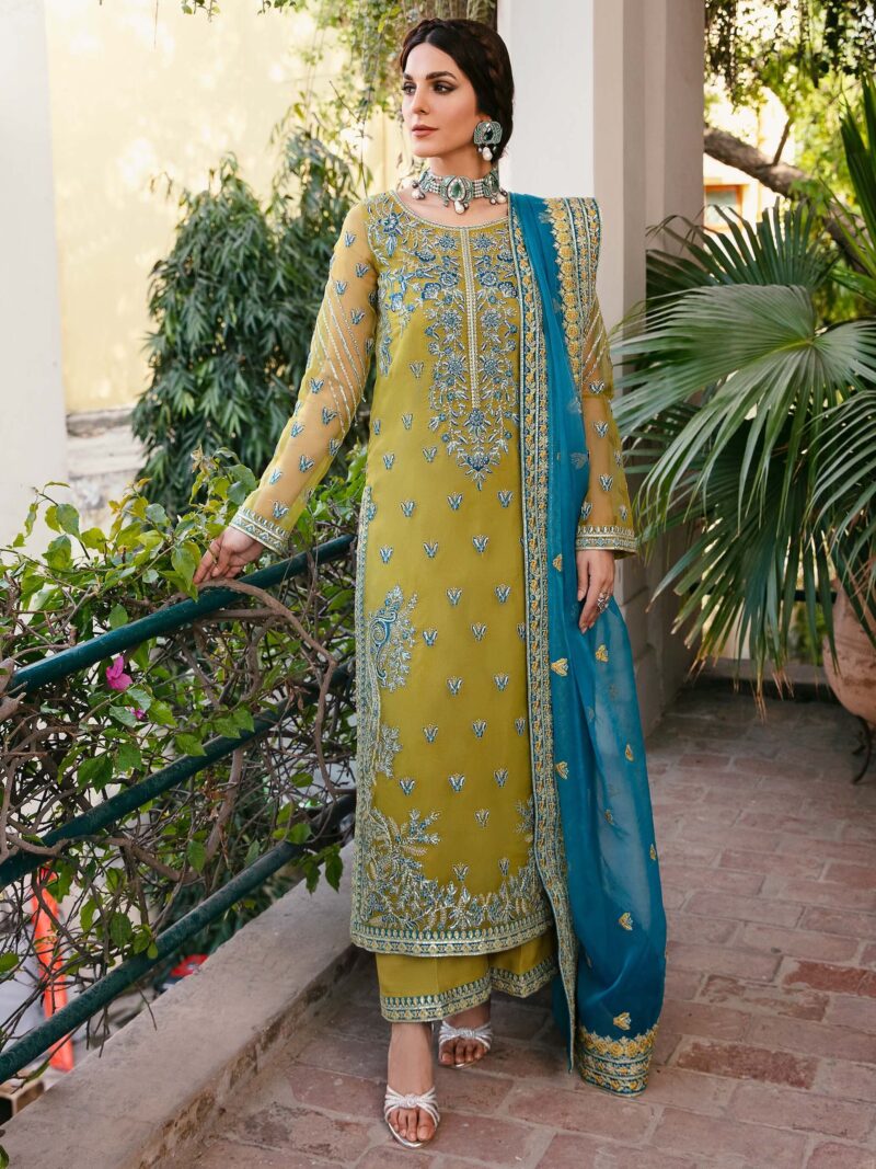 Akbar Aslam Davina Layali Formals Embroidered Organza