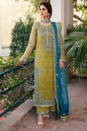 Akbar Aslam Davina Layali Formals Embroidered Organza