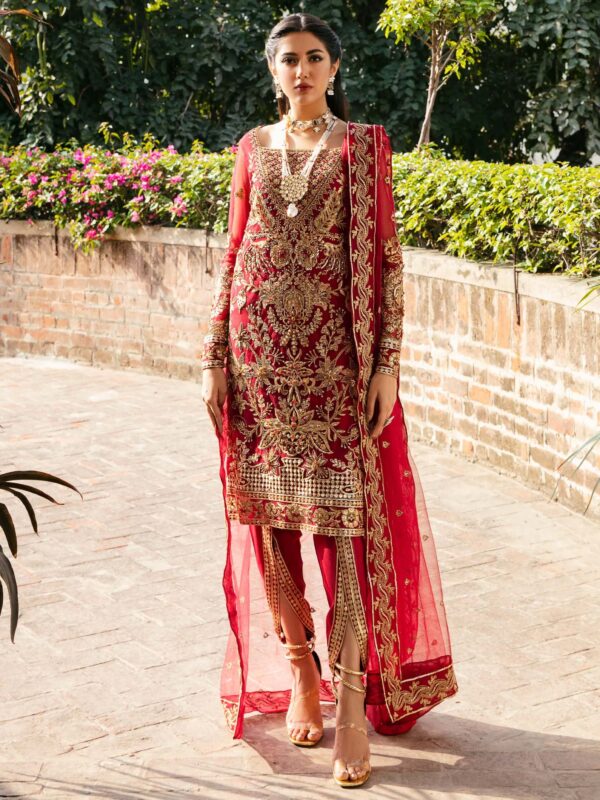 Akbar Aslam Omaira Layali Formals Embroidered Net