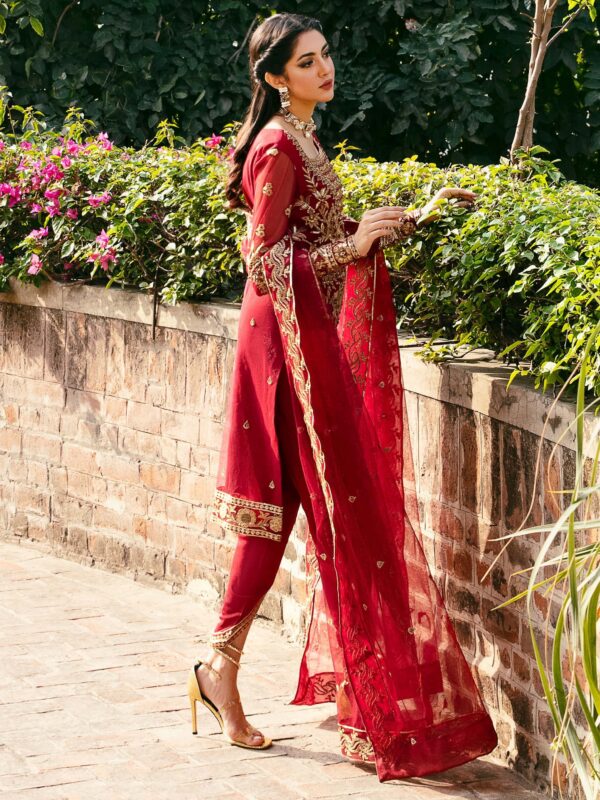 Akbar Aslam Omaira Layali Formals Embroidered Net