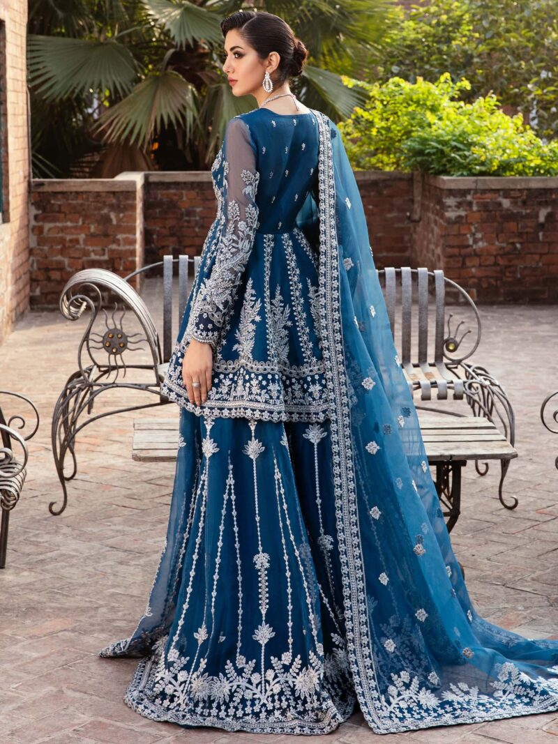 Akbar Aslam Nayara Layali Formals Embroidered Organza