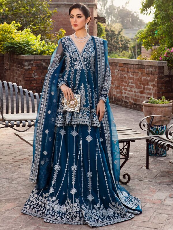 Akbar Aslam Nayara Layali Formals Embroidered Organza